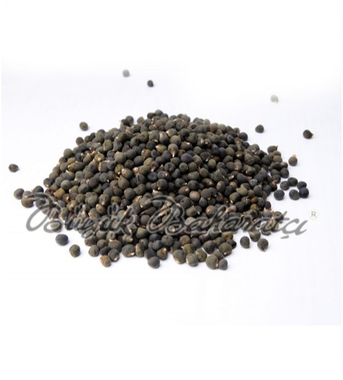 Th Bamya Tohumu 100 gr